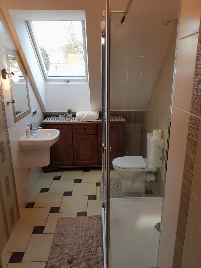 Apartament W Sercu Ustrzyk Apartment Ustrzyki Dolne Luaran gambar